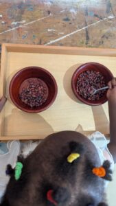 transvaser avec une cuillère-activité Montessori- apprendre autrement -Akamai Kids